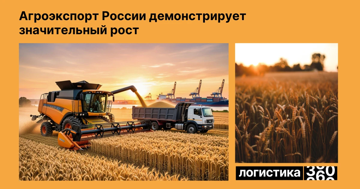 🌾 Российский агроэкспорт прибавил более 15%: что это значит для логистики?