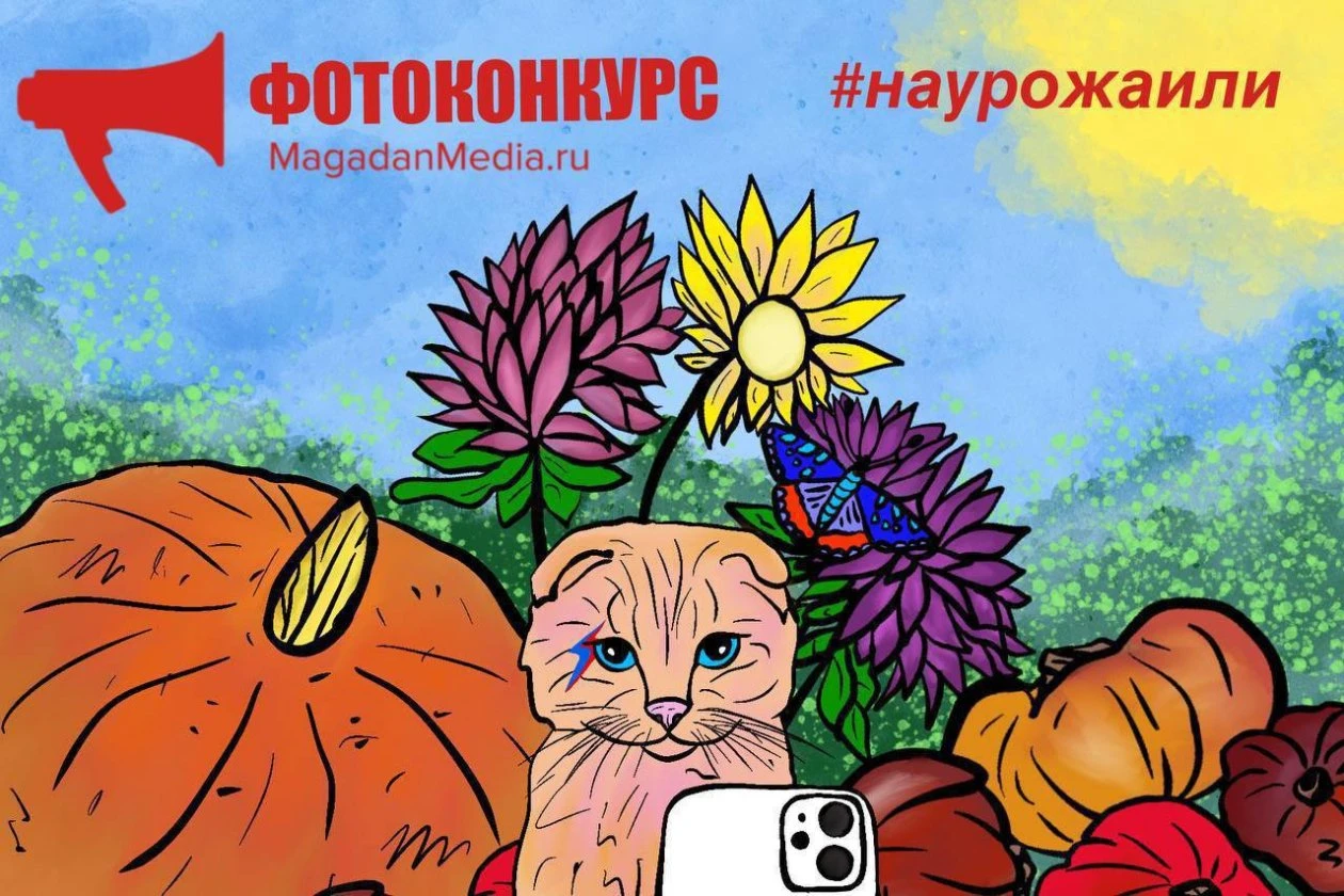Победителей фотоконкурса "Рискованное земледелие" выбрали в тг-канале MagadanMedia