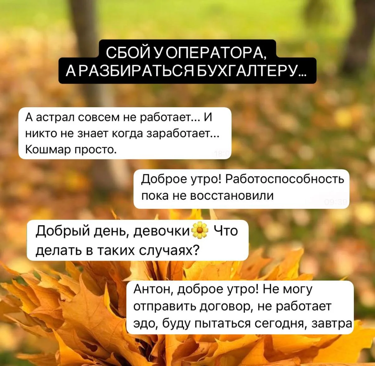ОТЧЕТЫ НЕ УХОДЯТ, А СРОКИ ГОРЯТ!