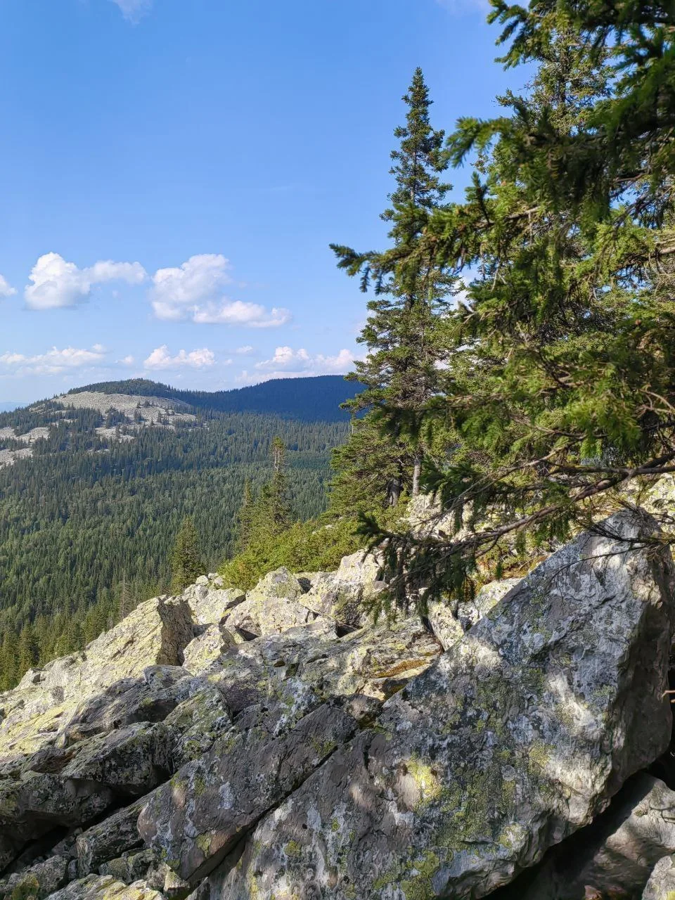 ⛰ Хребет Большая Сука́