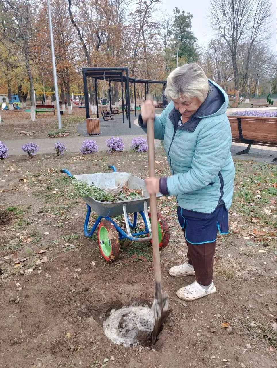 🌹  Золотая осень в разгаре, но в парке культуры и отдыха им. «Молодой гвардии» вовсю к...
