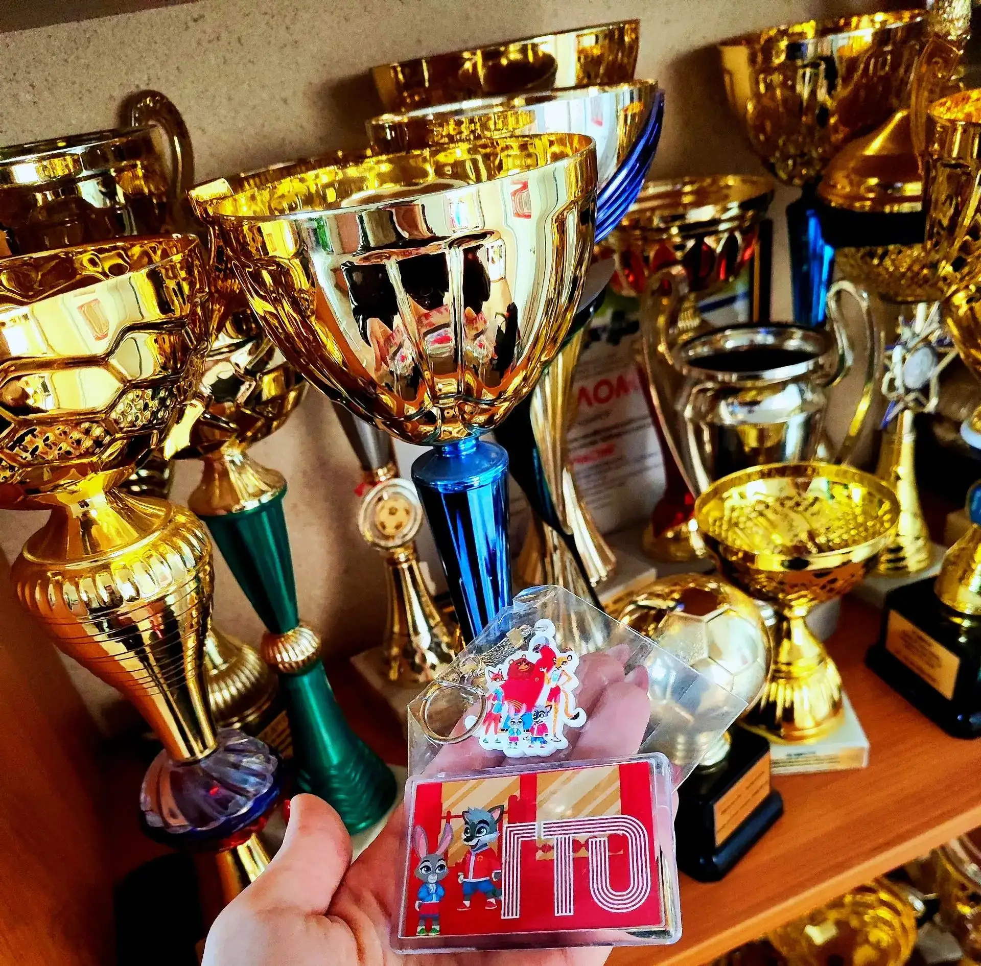 🏆 Золото, серебро и бронза: наши ученики сдали нормы ГТО!
