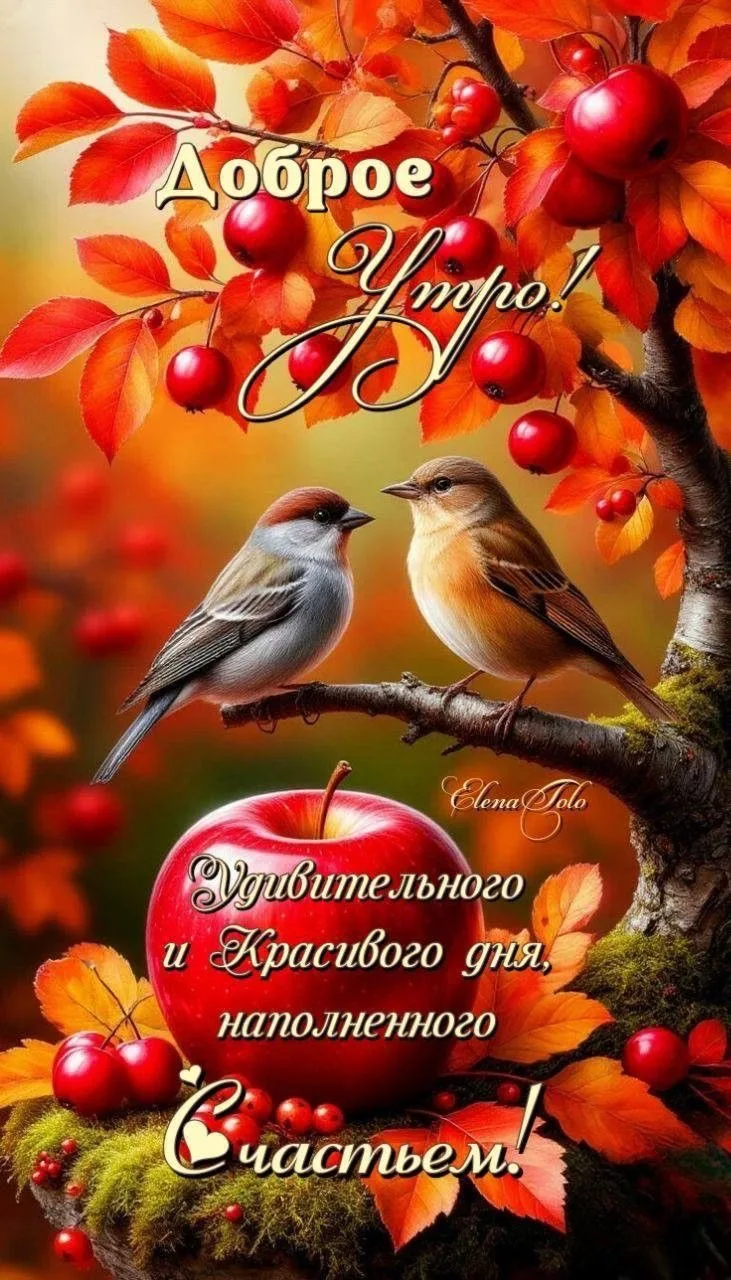 Здоровья вам, тепла, добра и Счастья в дом всегда, всегда!