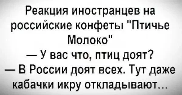 Это они еще про кротовуху не в курсе🤣😁