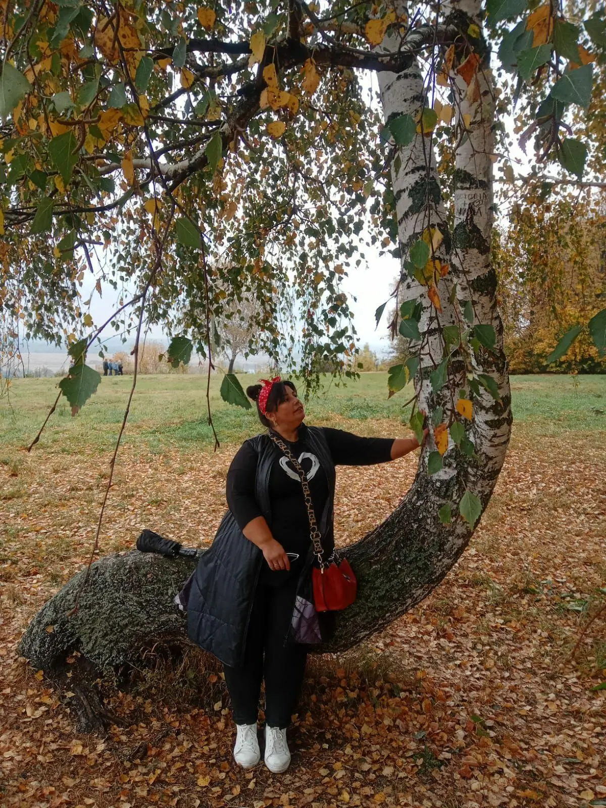 🍂Обнуление — это не конец. Это начало новой главы. ✨☀️
