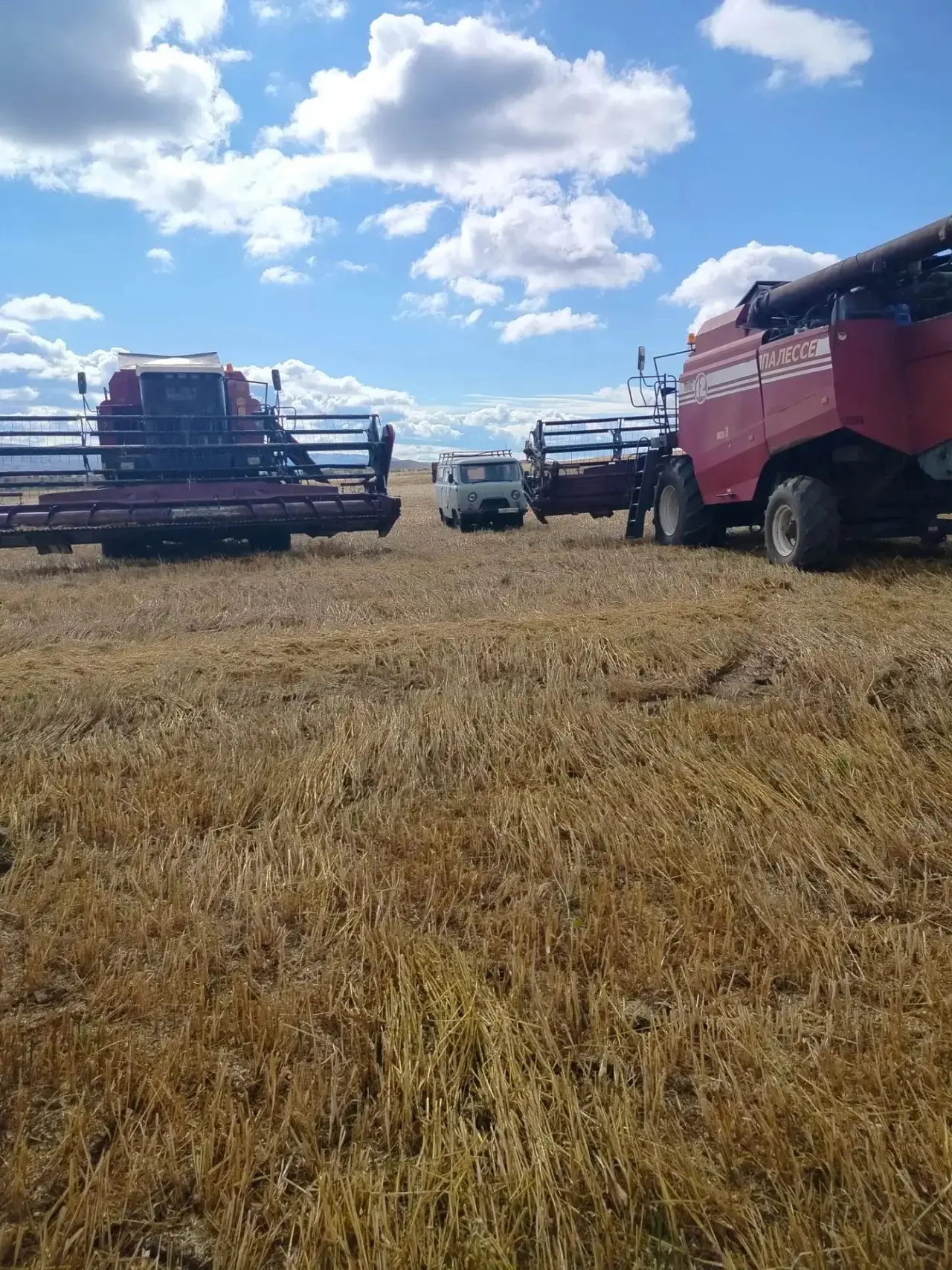 🌾 Ход уборочной кампании. 🚜