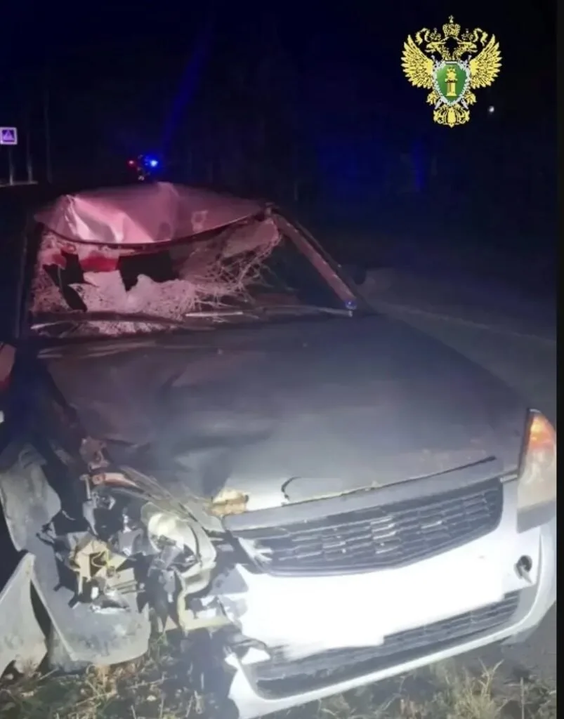В ДТП в Костромском районе погиб пешеход.