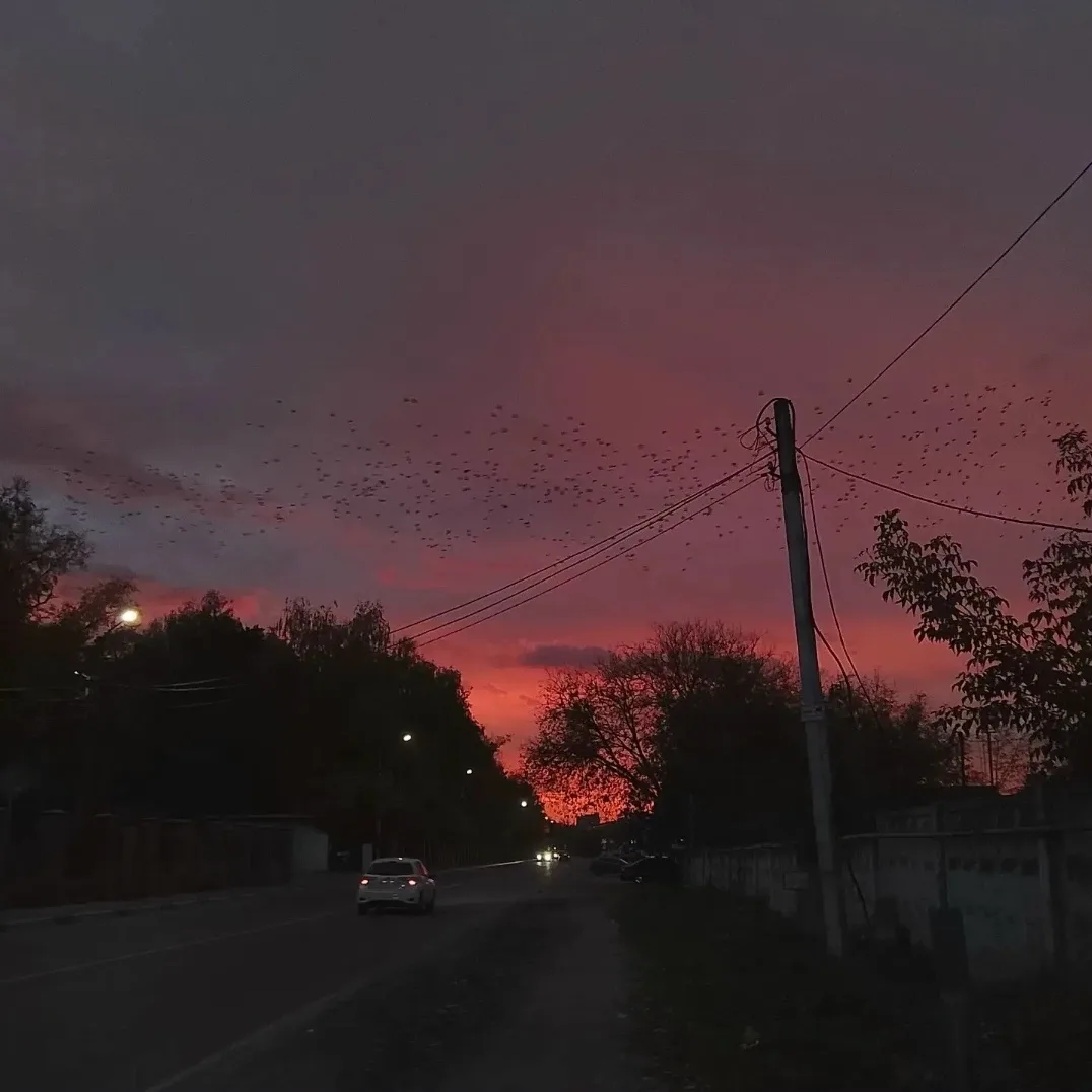Доброй ночи, Луховицы!