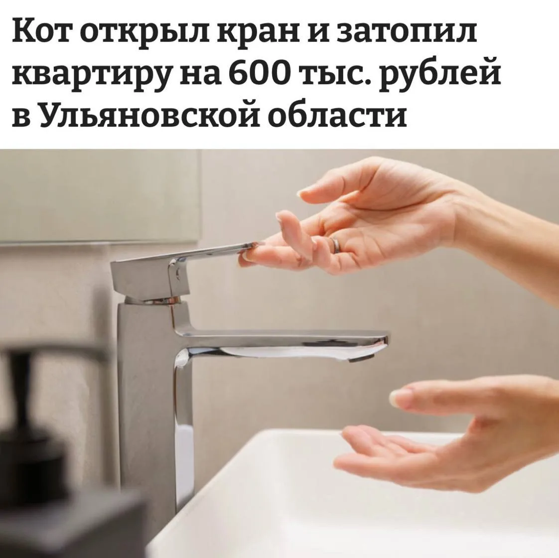 ❗️🙀 «Кот открыл кран и затопил квартиру на 600 тыс рублей»: Кот слишком сильно любил в...