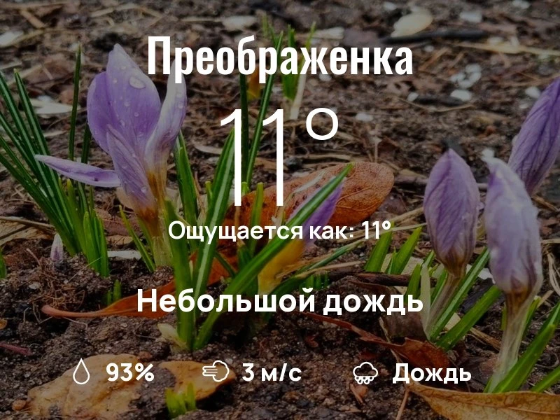 Что с погодой в Преображенском?