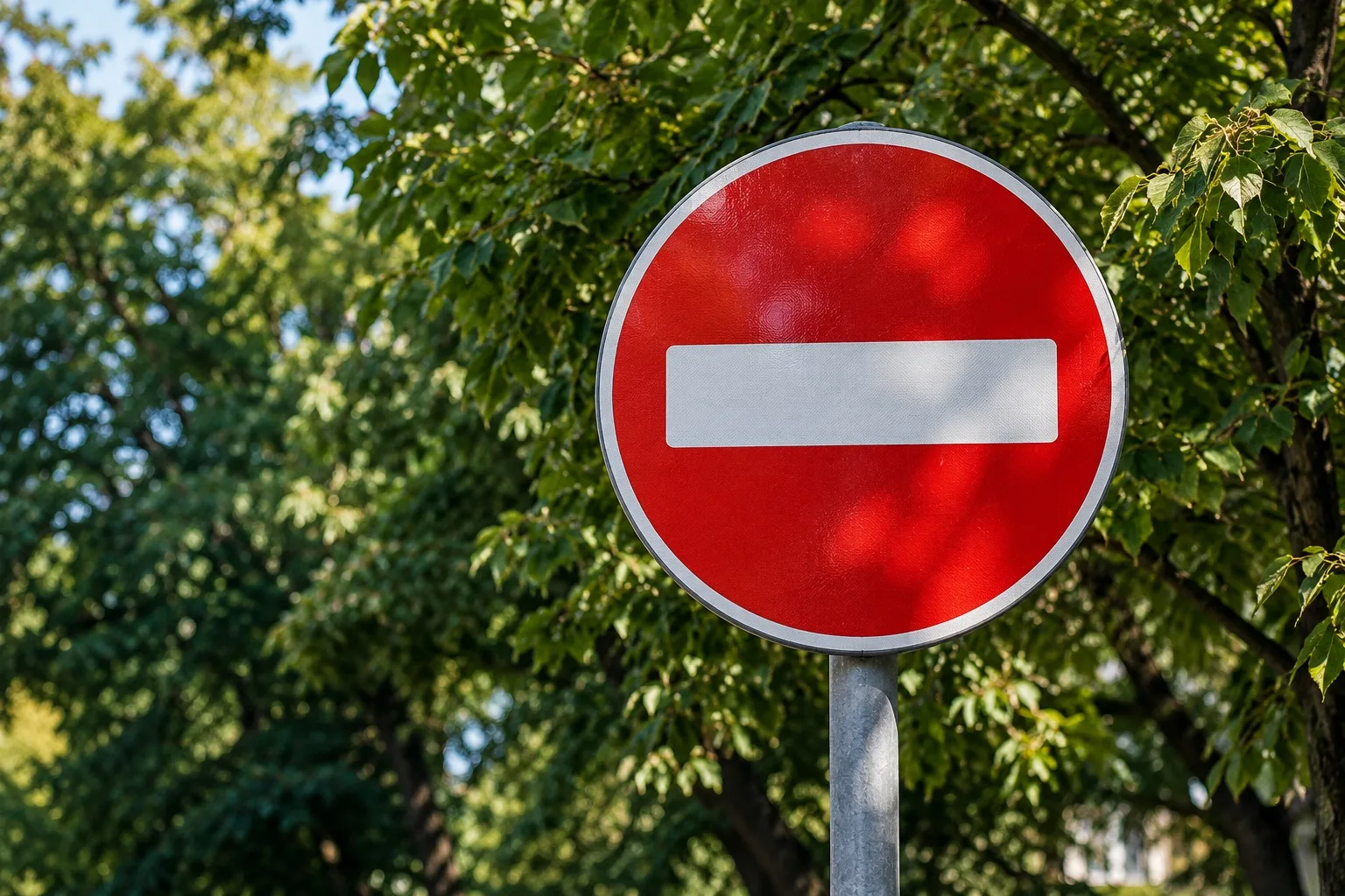 🏎 Солохаул готовится к рёву моторов: дорогу перекроют почти на весь день