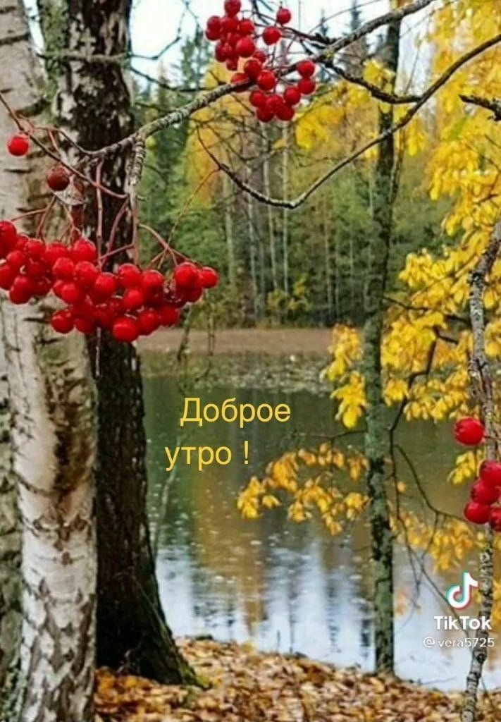 🌤️ Доброе утро, друзья! 🇷🇺