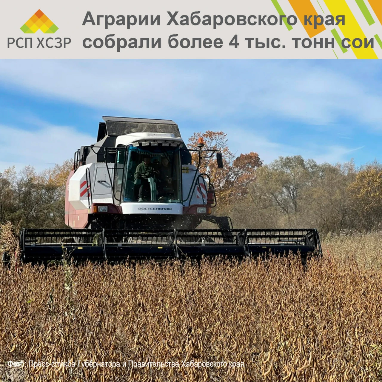 🌼 Аграрии Хабаровского края собрали более 4 тыс. тонн сои