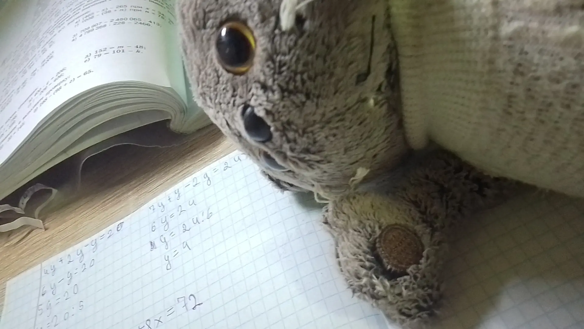 всем сладких снов!😴