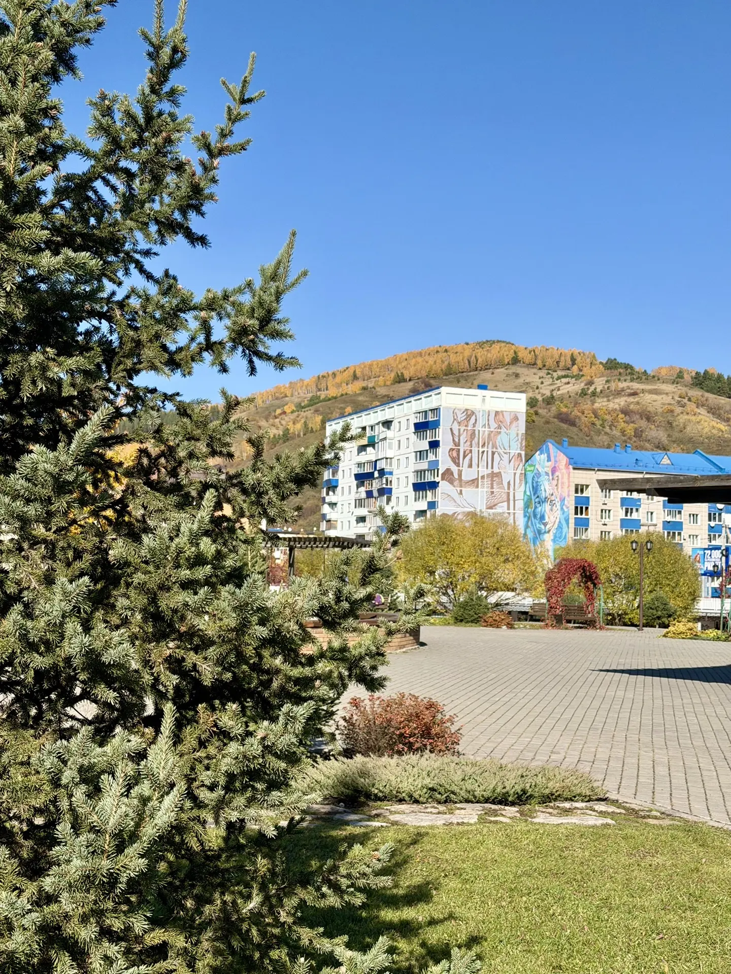 Солнечный день в любимом Горно-Алтайске☀️12.10.2026