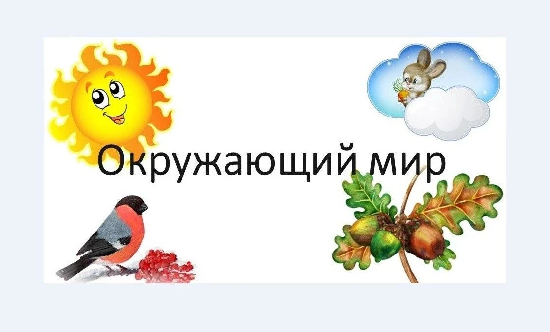 В средней группе «Акварельки» прошла не просто беседа, а настоящее практическое занятие...