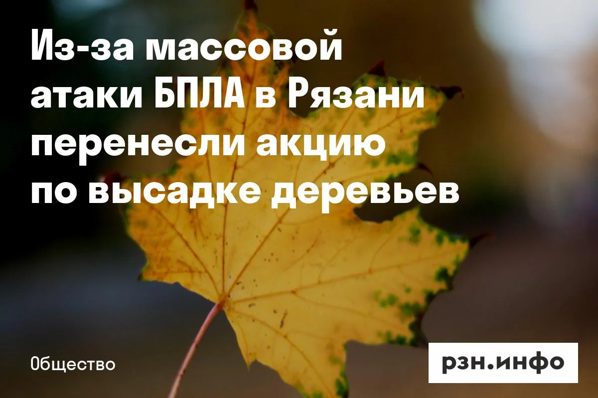 Из-за массовой атаки БПЛА в Рязани перенесли акцию по высадке деревьев