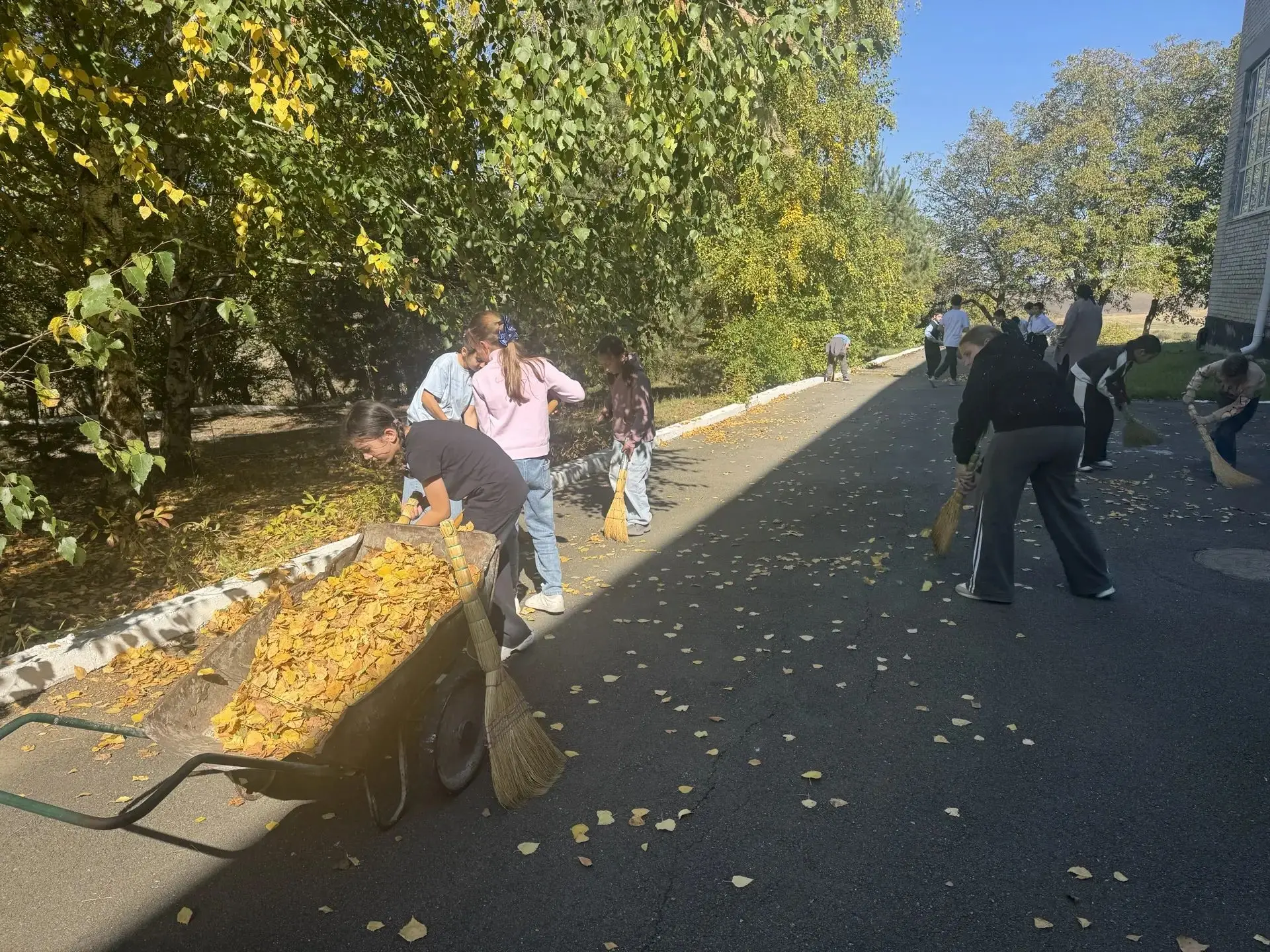 Чистота начинается с нас! 🍂