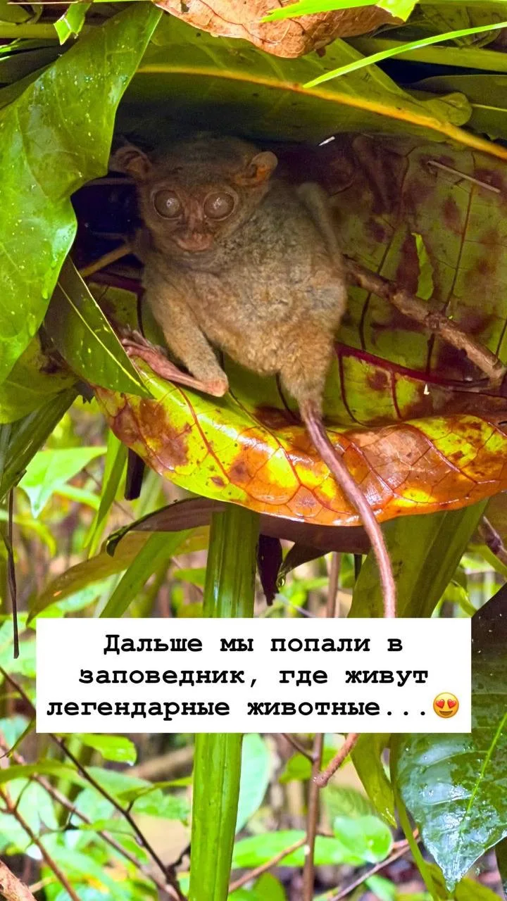 Продолжаем исследовать остров Бохоль и сегодня мы: