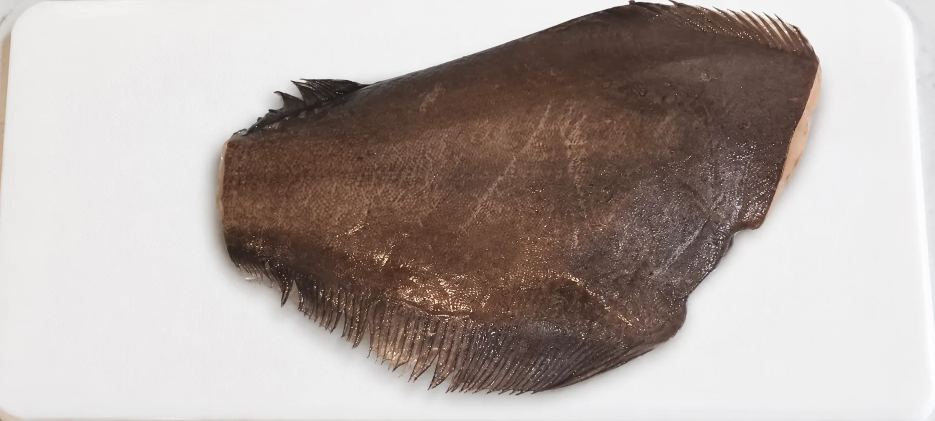 Дикий палтус свежего вылова 1+ 🐟 (нежная, в меру жирная рыбка)