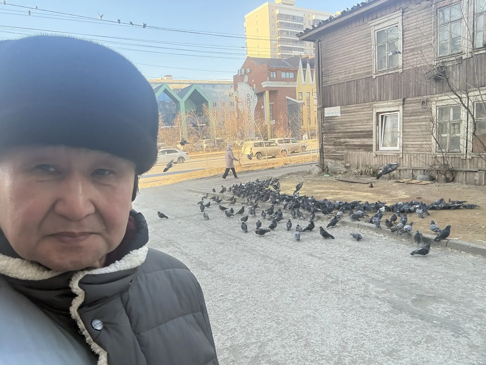 Голубей на улице Лермонтова в Якутске (возле магазина «Кумир», ул. Лермонтова, 31/3) еж...