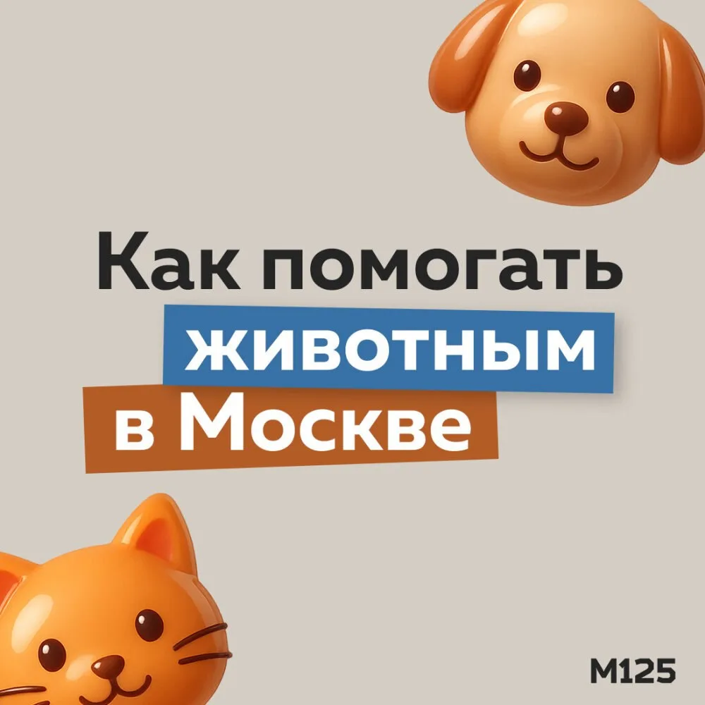 Как помочь животным с помощью московских цифровых и социальных проектов. Рассказываем н...