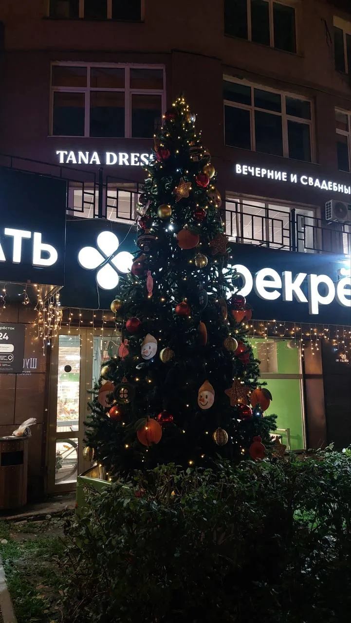 Первые елочки уже появились в Екатеринбурге 🎄