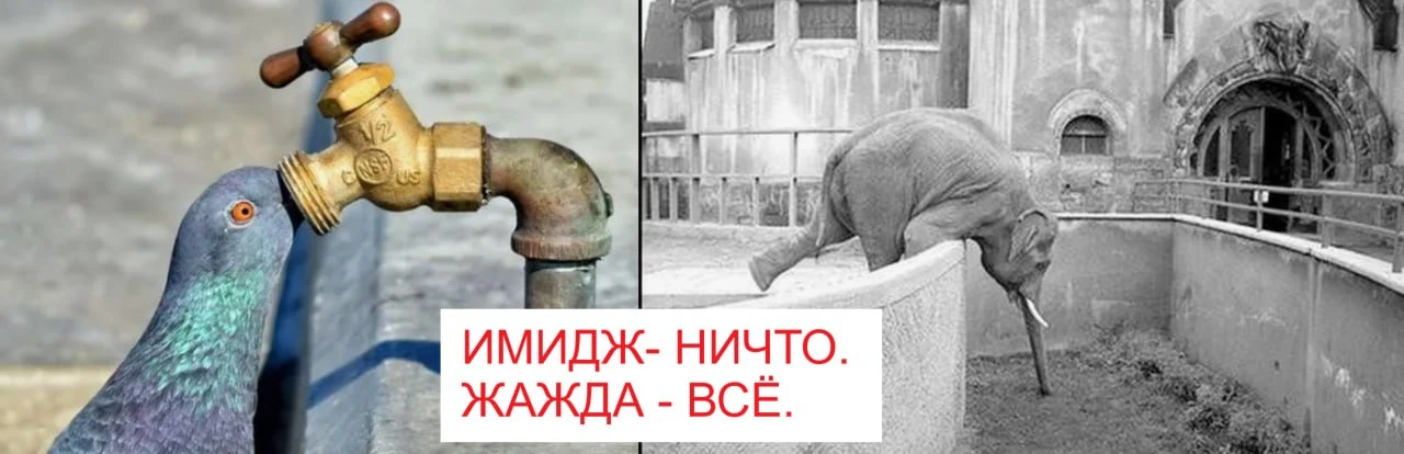 Замечено...