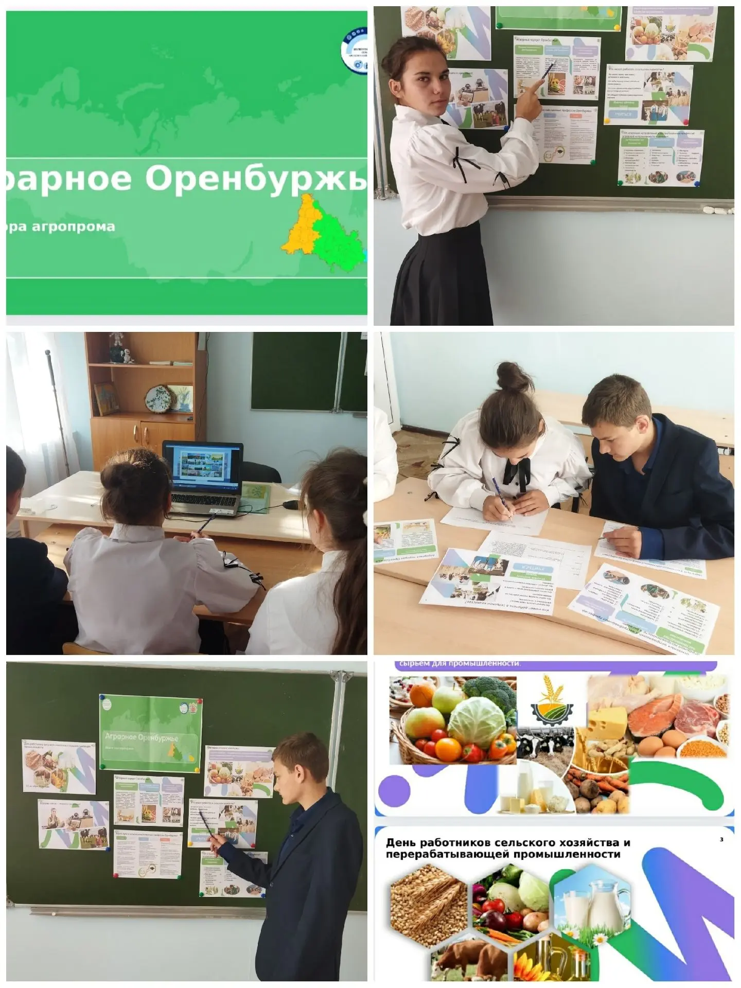 Сегодня в рамках курса "Россия мои горизонты" прошло профориентационное занятие: "Аграр...
