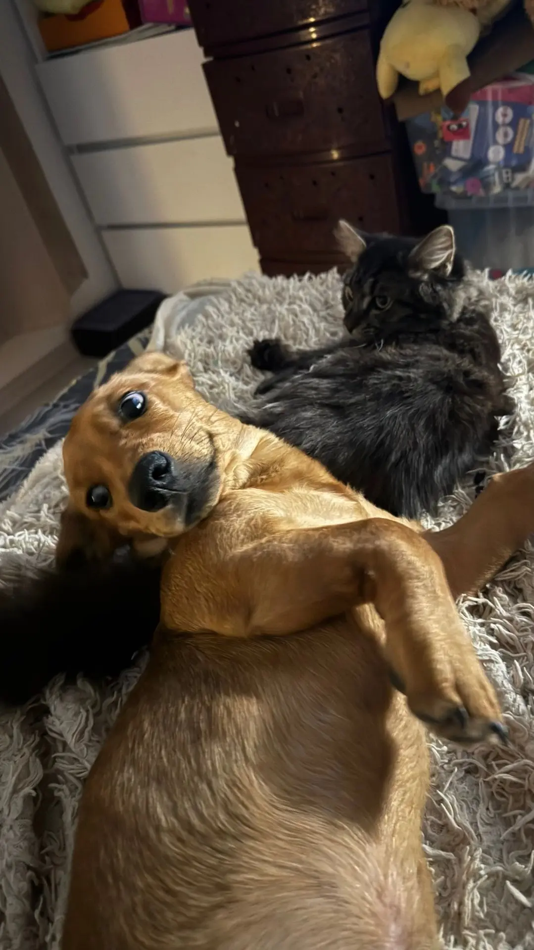 Привет от Тимки♥️