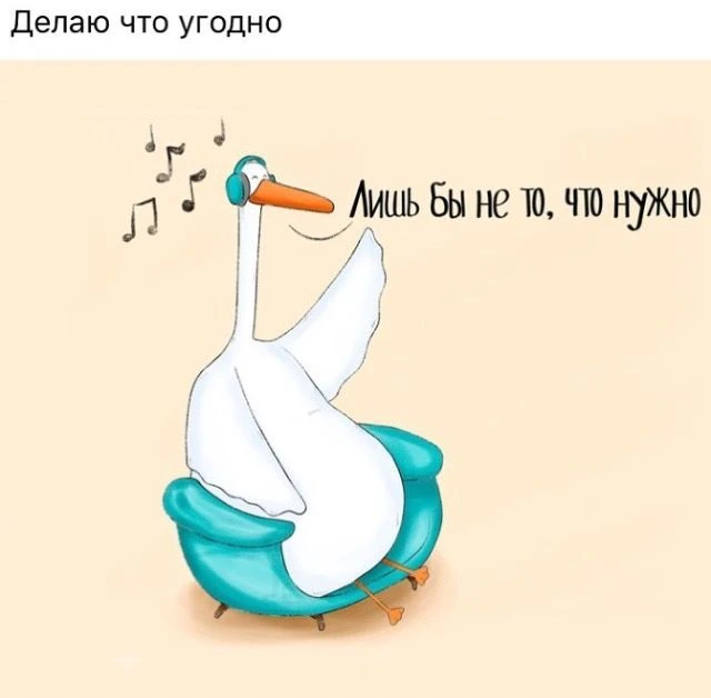 Подпишись, чтобы не потерять👇
