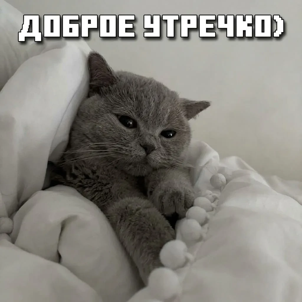 Доброе утро, сладенькие мои!❤️