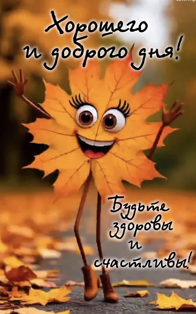 Подпишись 👇
