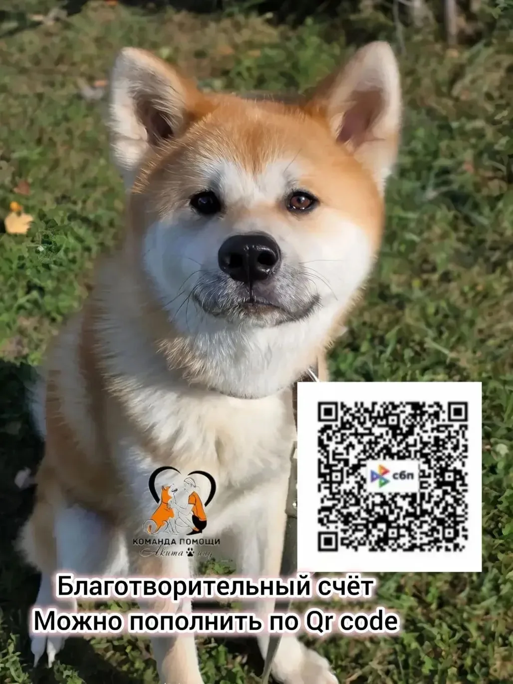 Доброе утро  друзья!