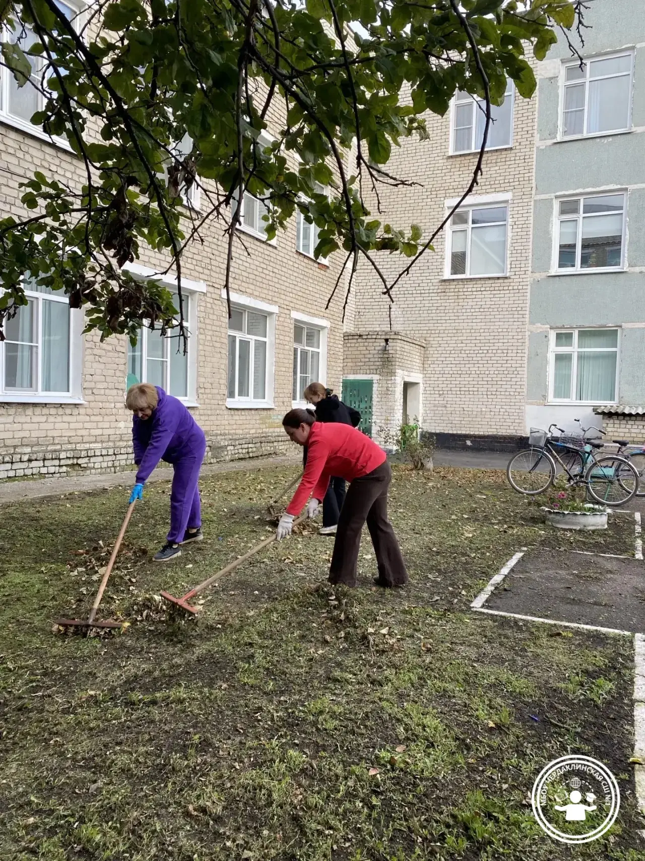 🍁Санитарная пятница