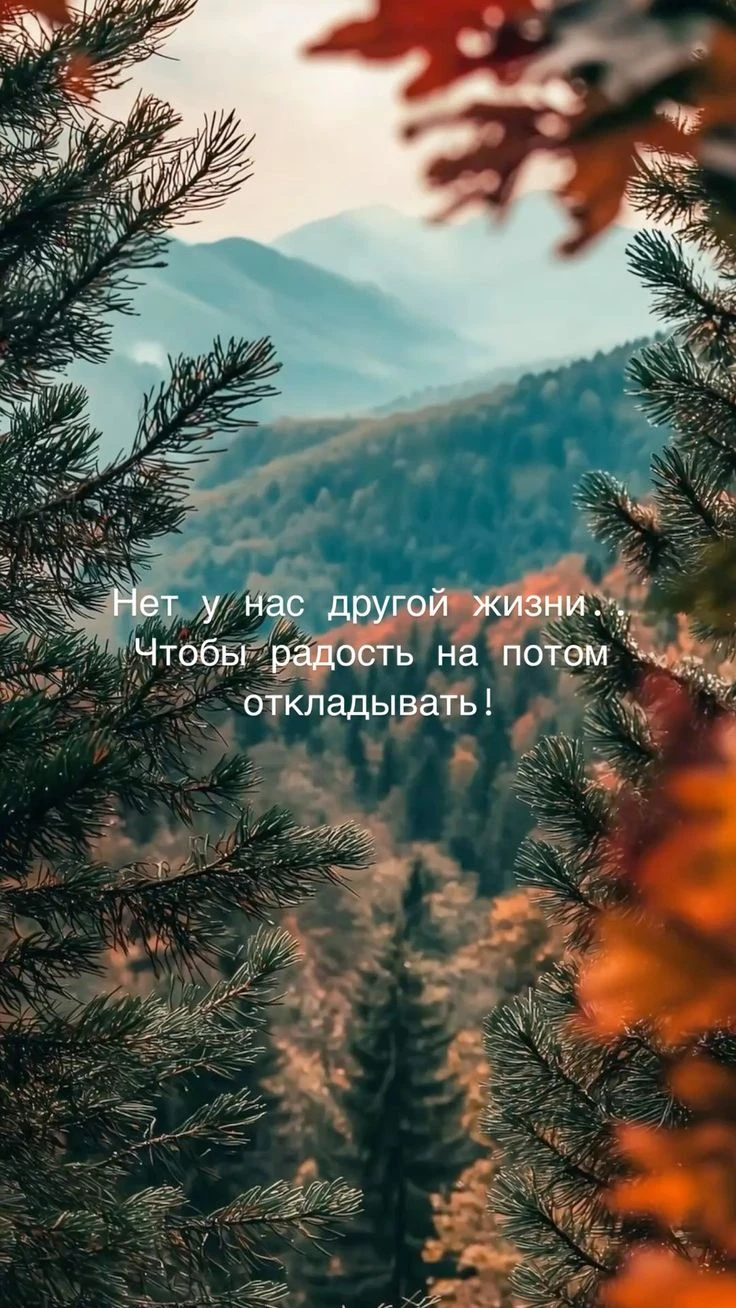 Твои открытки - Отправь открытку другу ❤️