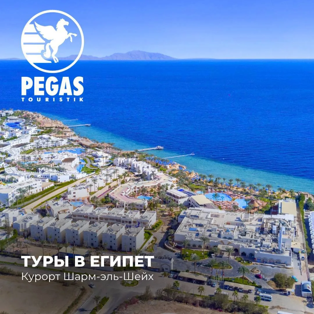 Отличные отели в Египте для вашего отдыха🐠