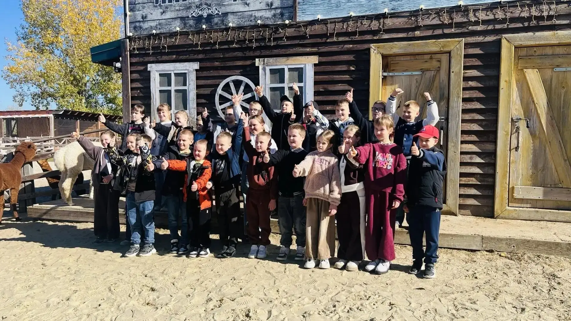 11 октября обучающиеся 3 «А» класса побывали на экскурсии в парке «Белый колодец». 🦙🐩
