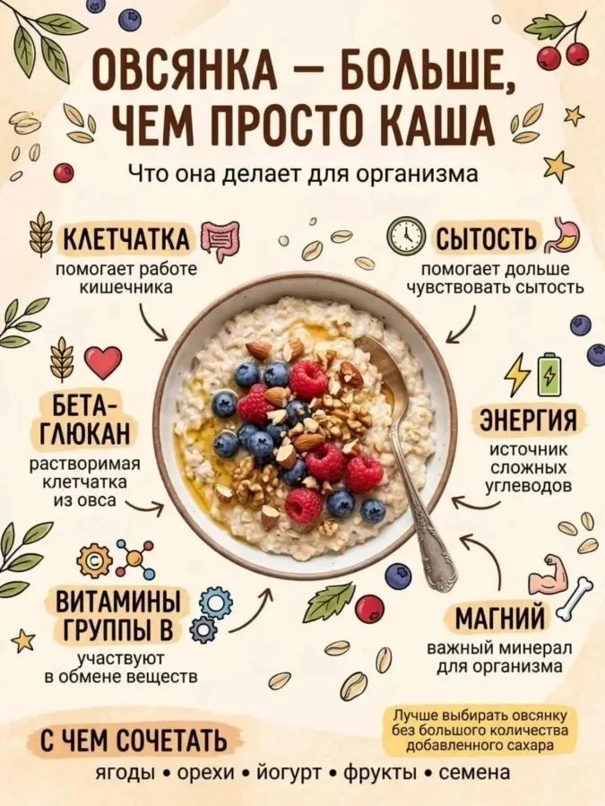 Овсяная каша — это полезный и питательный продукт, который улучшает пищеварение, защища...