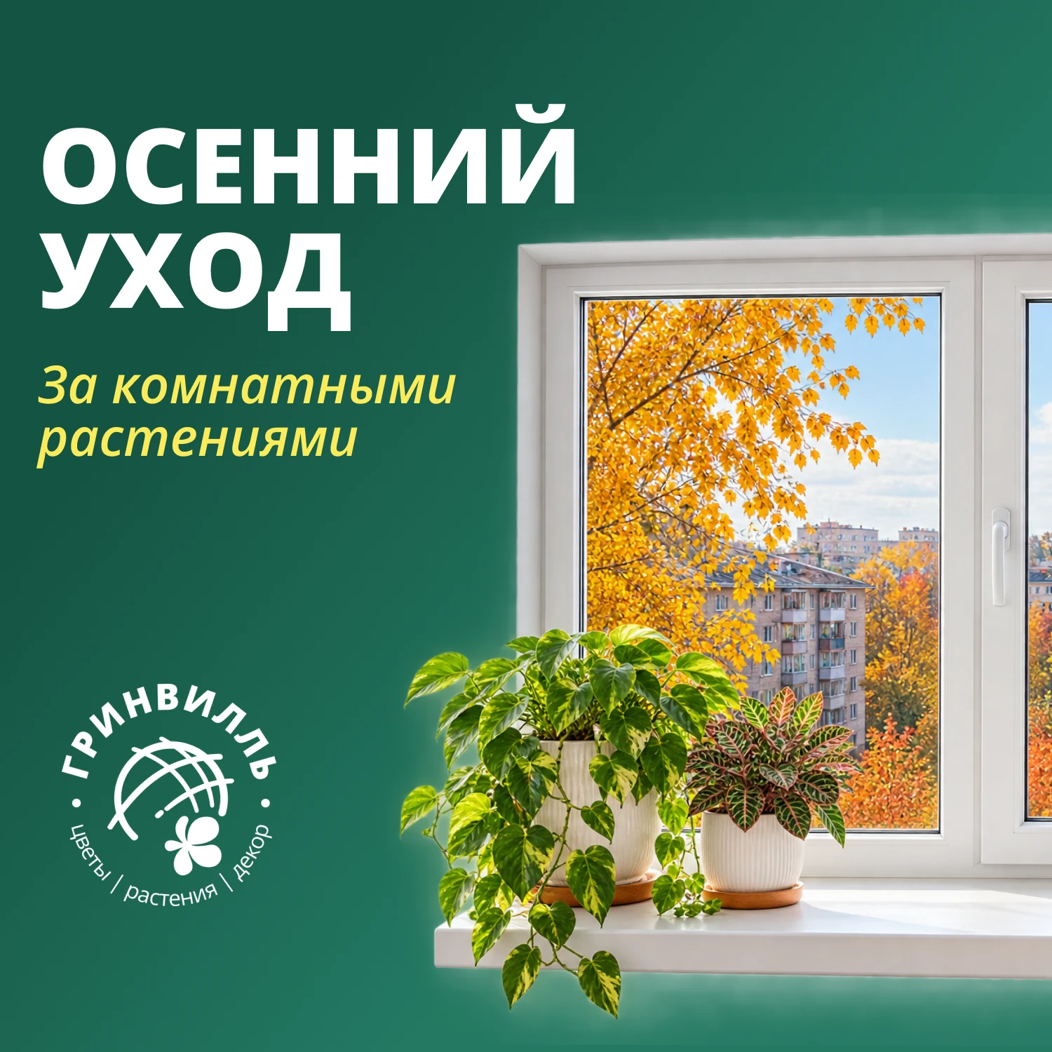 🍁 УХОД ЗА КОМНАТНЫМИ РАСТЕНИЯМИ ОСЕНЬЮ 🍁