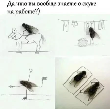 Скоро выходные🤣