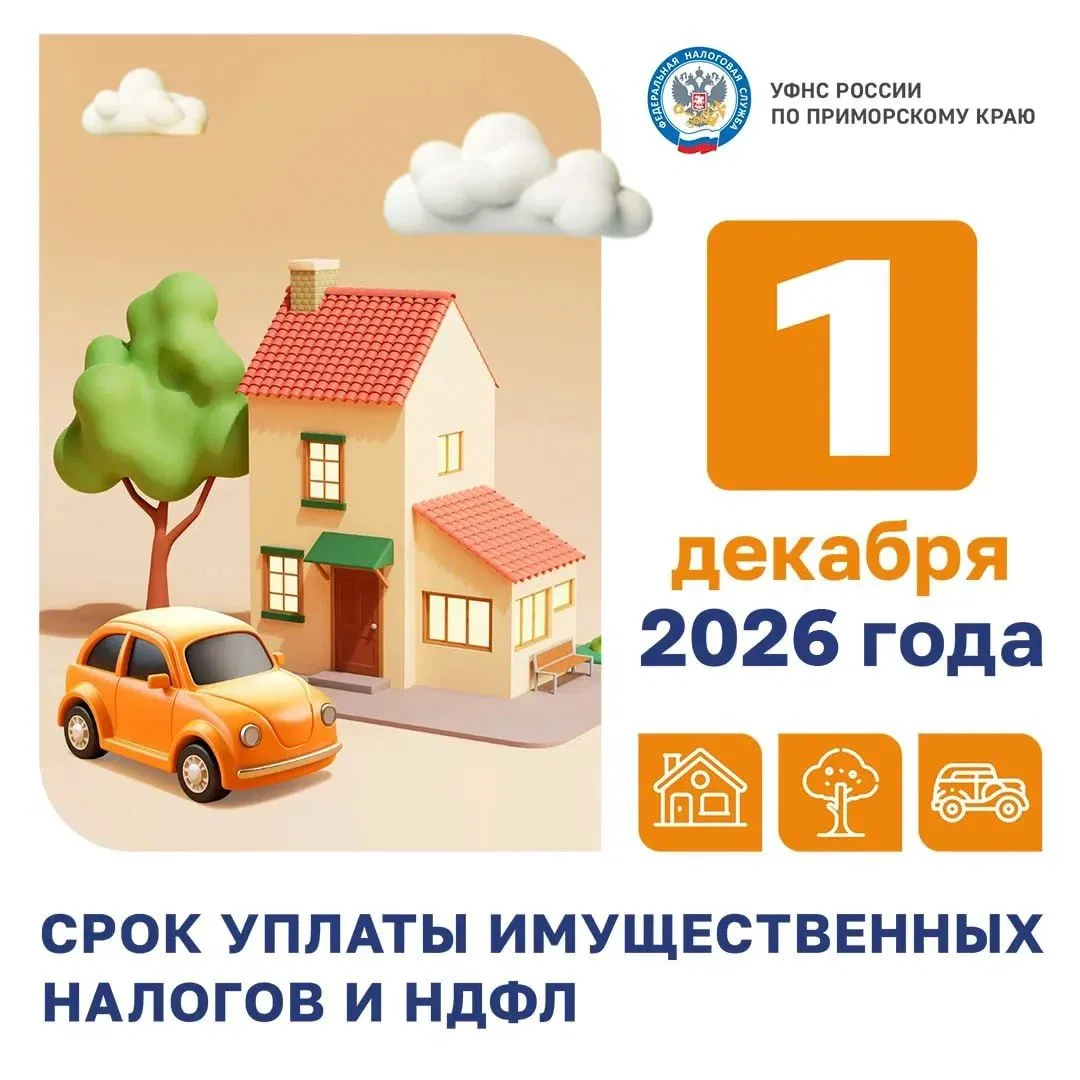 Время платить по счетам: налоги за 2025 год ждут вас до 1 декабря