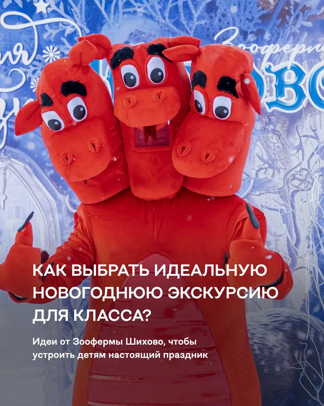 Как выбрать идеальную новогоднюю экскурсию для класса? Очень просто! У нас каждый найдё...