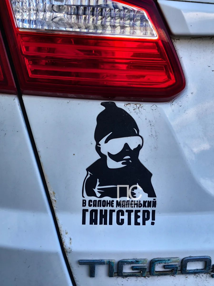 Маленький, но уже держит весь салон под контролем 😎