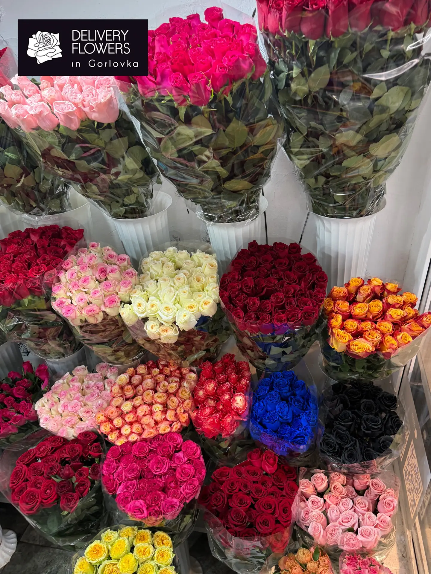 🌹✨ Свежие голландские розы