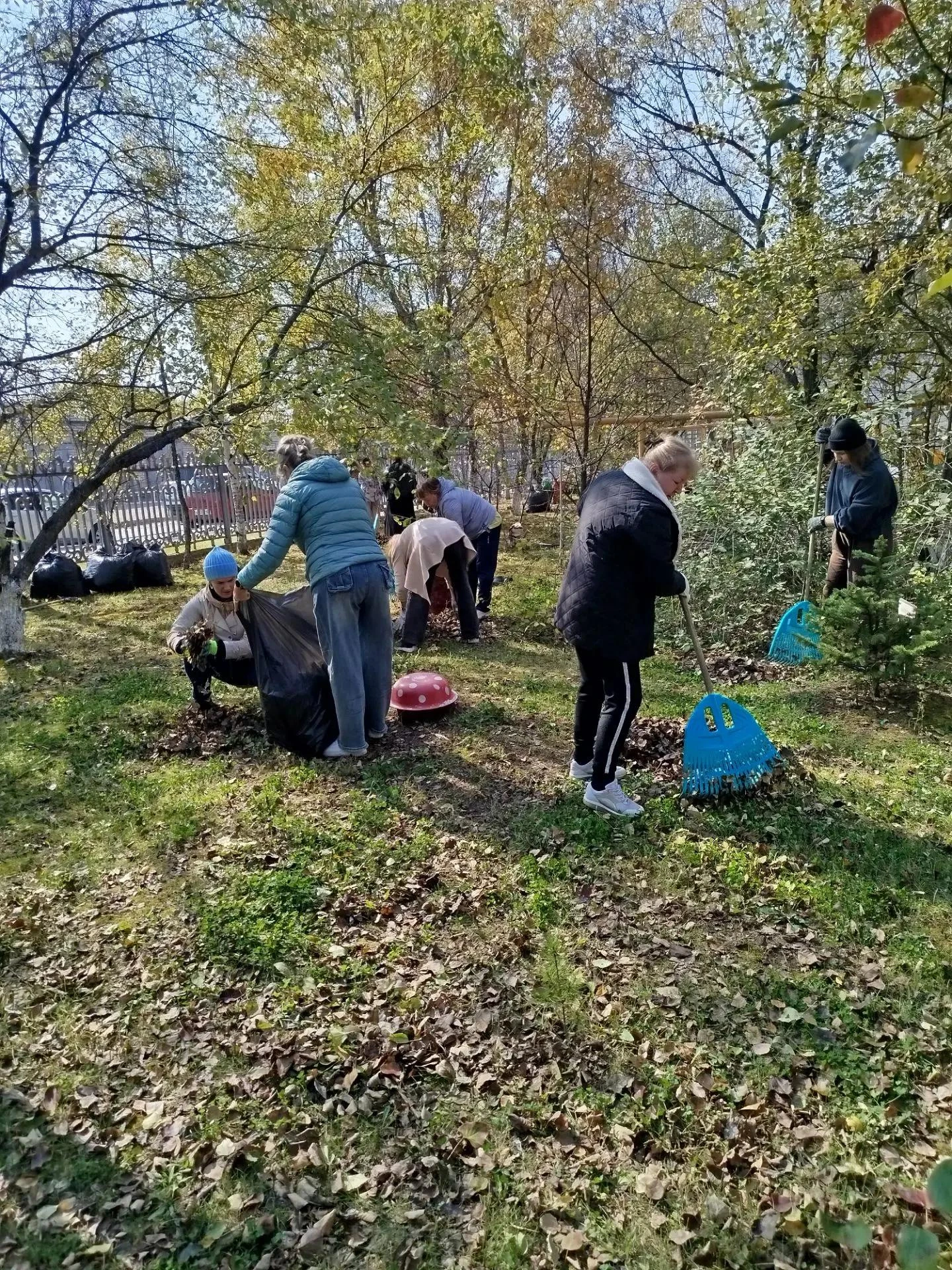 Чисто, дружно, с пользой во всём городе! 🍁