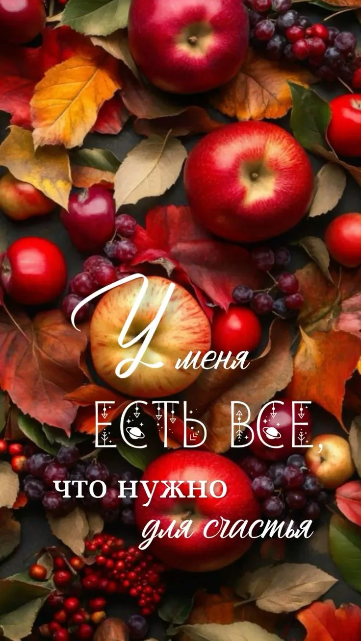 https://max.ru/invista123456