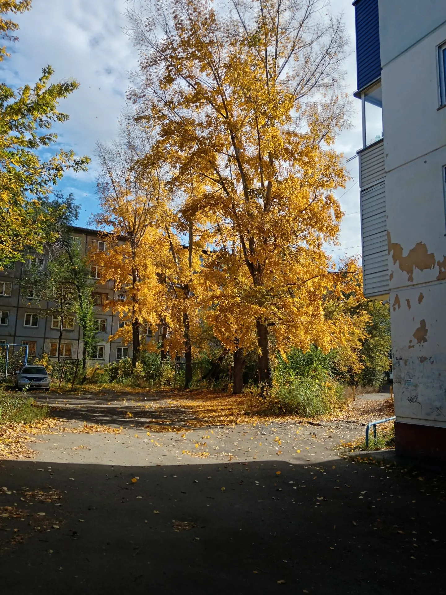 Предложка: