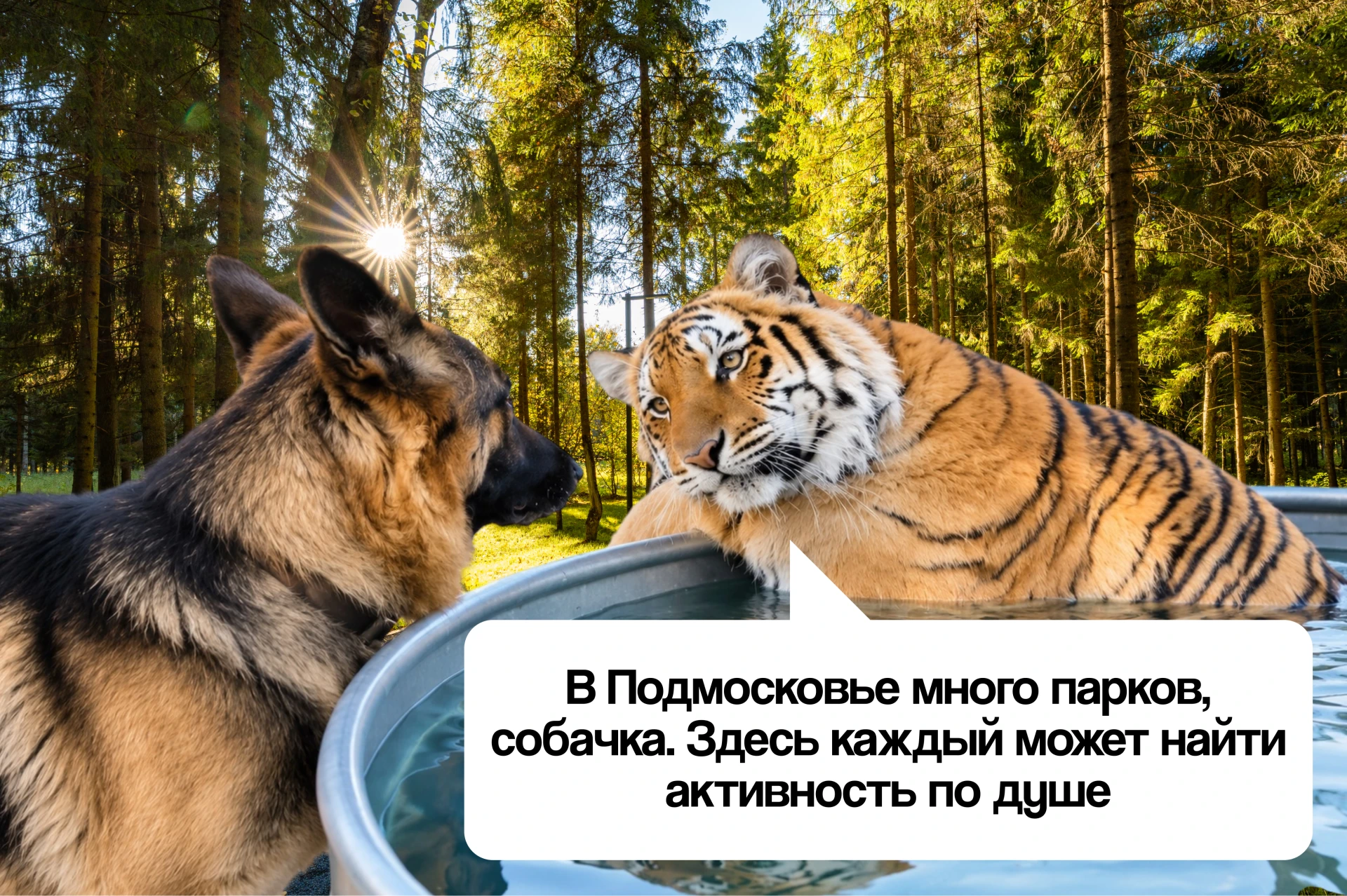 🐶 Пушистые герои отправились в путешествие по Московской области и узнали много нового...