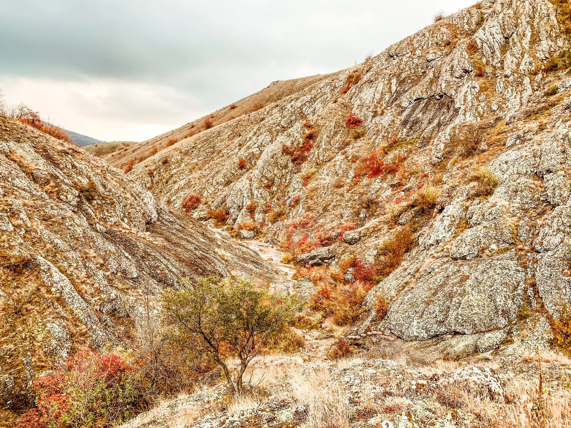 Осень в Арпатском ущелье, Зеленогорье🍁